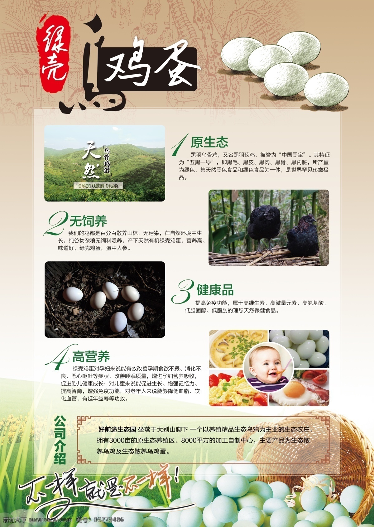 乌 鸡蛋 dm 宣传单 页 绿壳 乌鸡蛋 dm单 单页 海报 素描鸡蛋 饲养说明 原生态 无饲养 健康品 高营养 平面设计 dm宣传单
