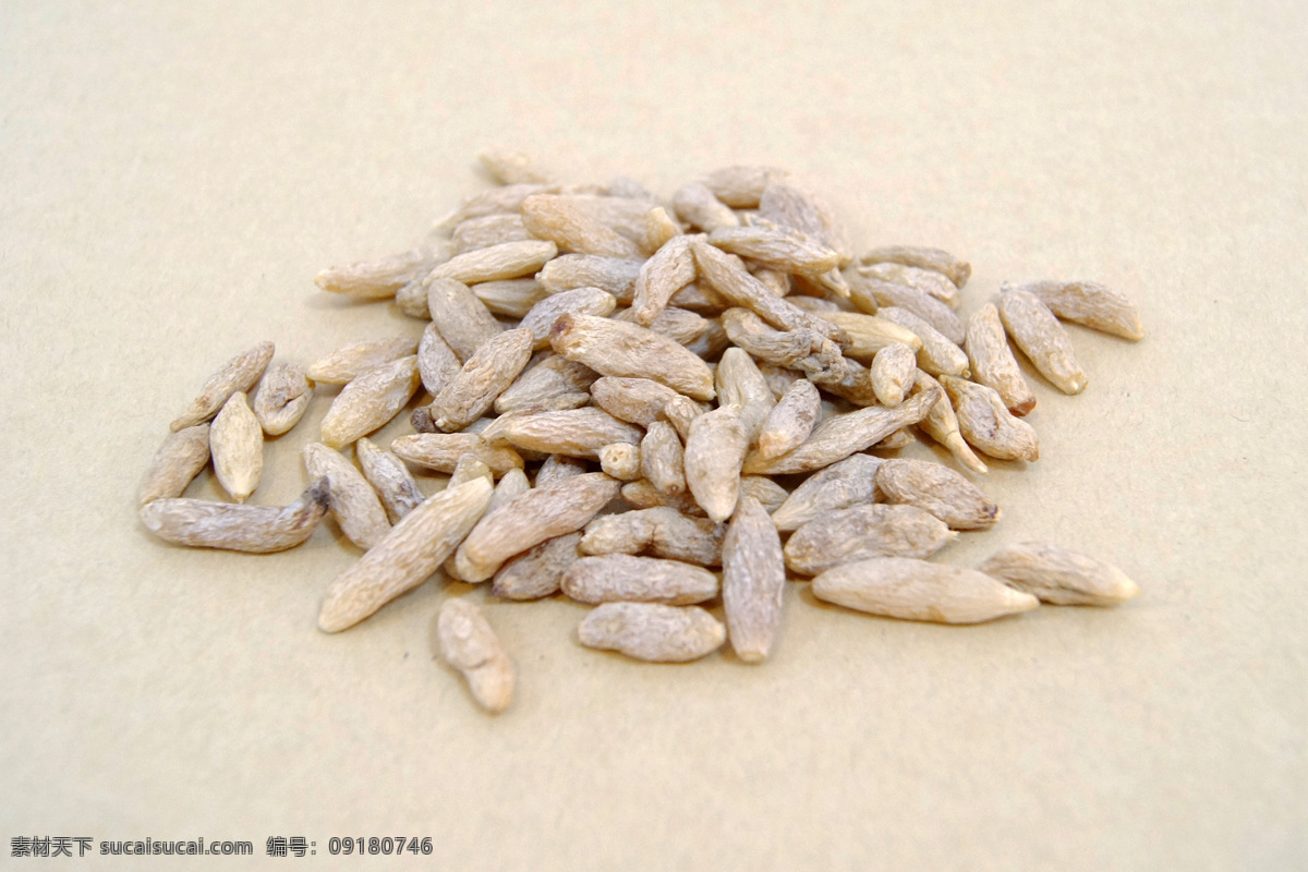 中药 中草药 麦冬 散装 牛皮纸 生物世界 其他生物