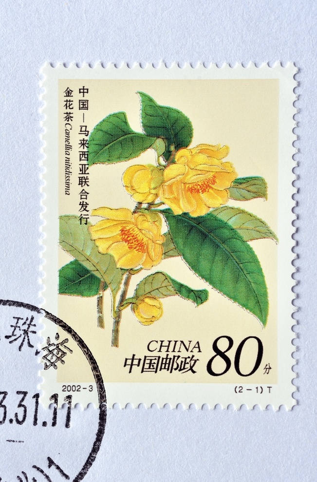 金花茶 邮票 实物 高清 邮戳 集邮 收藏 中国 邮政 邮资 有价 证券 齿孔 异形 防伪 印刷 荧光 编码 首日封 小型张 实寄封 邮市 投资 交易 艺术品 另类 文交所 托管 文化 暗记 背胶 信销 盖销 全新 邮局 邮件 历史 邮史 政治 经济 雕刻 2002 花卉 珍惜 马来西亚 文化艺术 美术绘画
