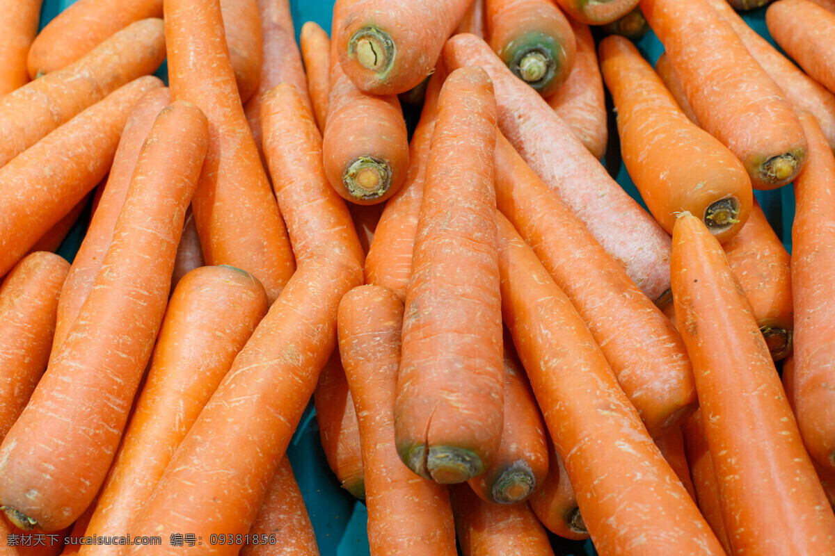 美味 红萝卜 美食 切片 红萝卜条 蔬菜 新鲜蔬菜 高清图片 水果蔬菜 生物世界