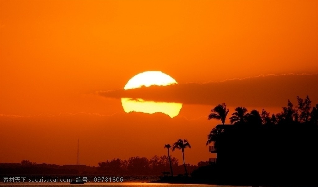 日落 日出 红太阳 树木 树林 椰子树 云雾 朦胧 山水风景 自然景观