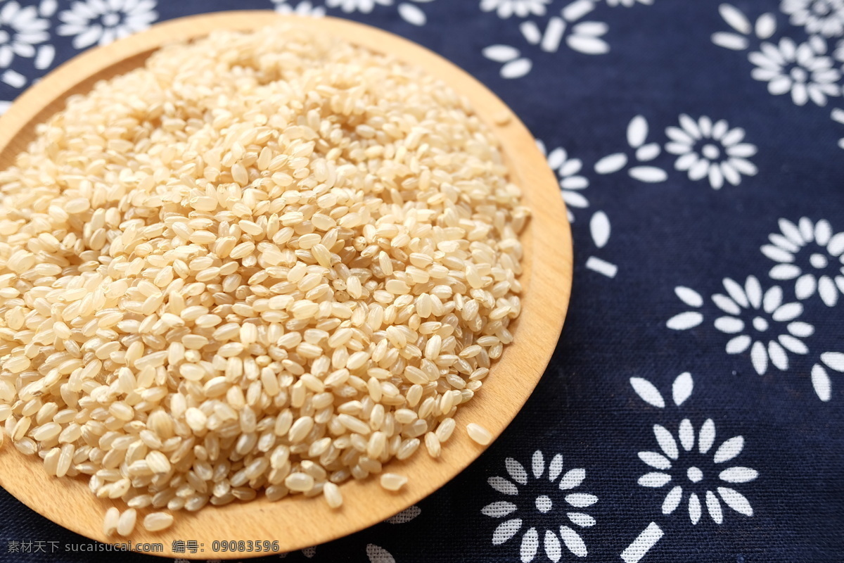 糙米图片 粗粮 粮食 大米 米糠 主食 稻米 稻谷 生活百科 生活素材