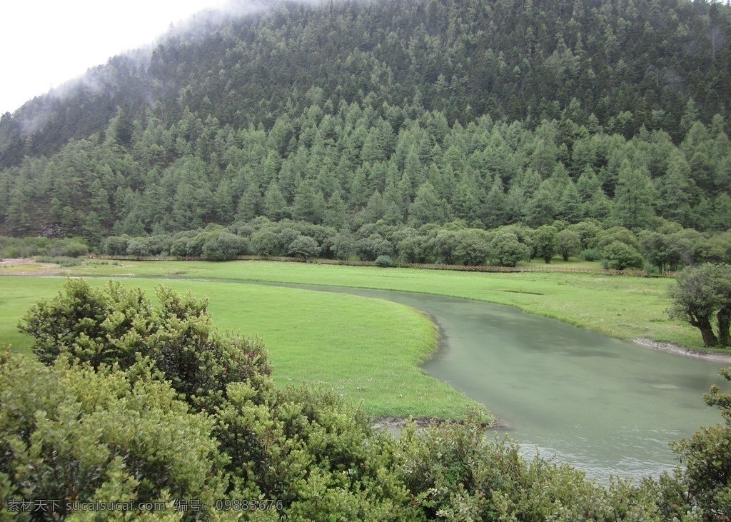 稻城风景 河水 绿树 小溪 森林 绿色 草原 高原 自然 景观 云雾 溪流 山川 自然风景 自然景观