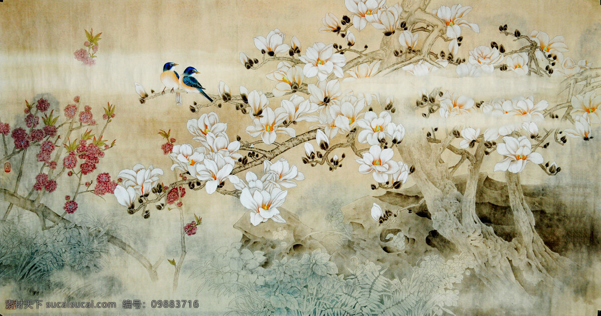 玉兰馨风 美术 绘画 中国画 工笔画 花鸟画 花木 玉兰花 蓝雀 花草 国画艺术 国画集64 绘画书法 文化艺术