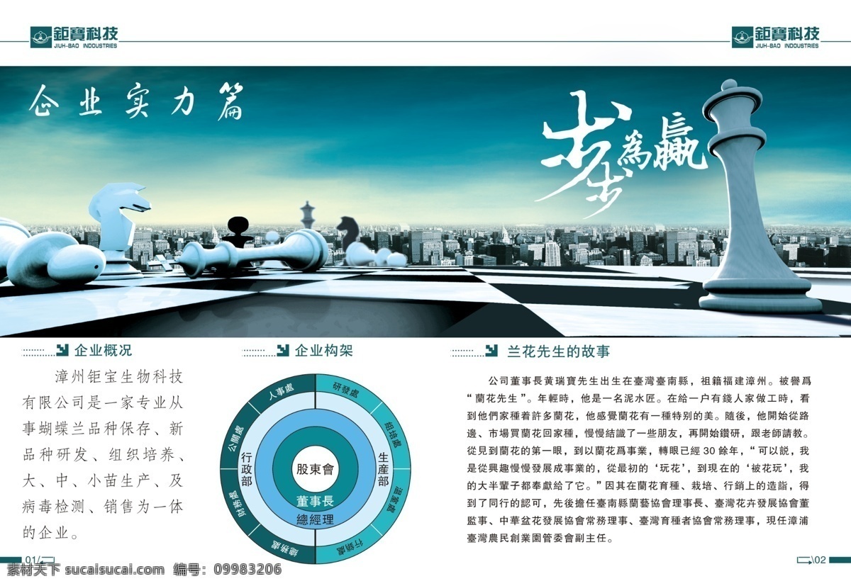 大气 广告设计模板 国际象棋 画册设计 企业 企业画册 源文件 步步为赢 企业实力篇 企业概况 企业构架 其他画册封面