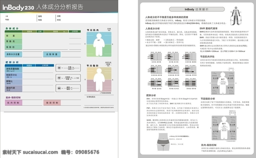 人体成份报告 体检 体测报告 报告单 健康表