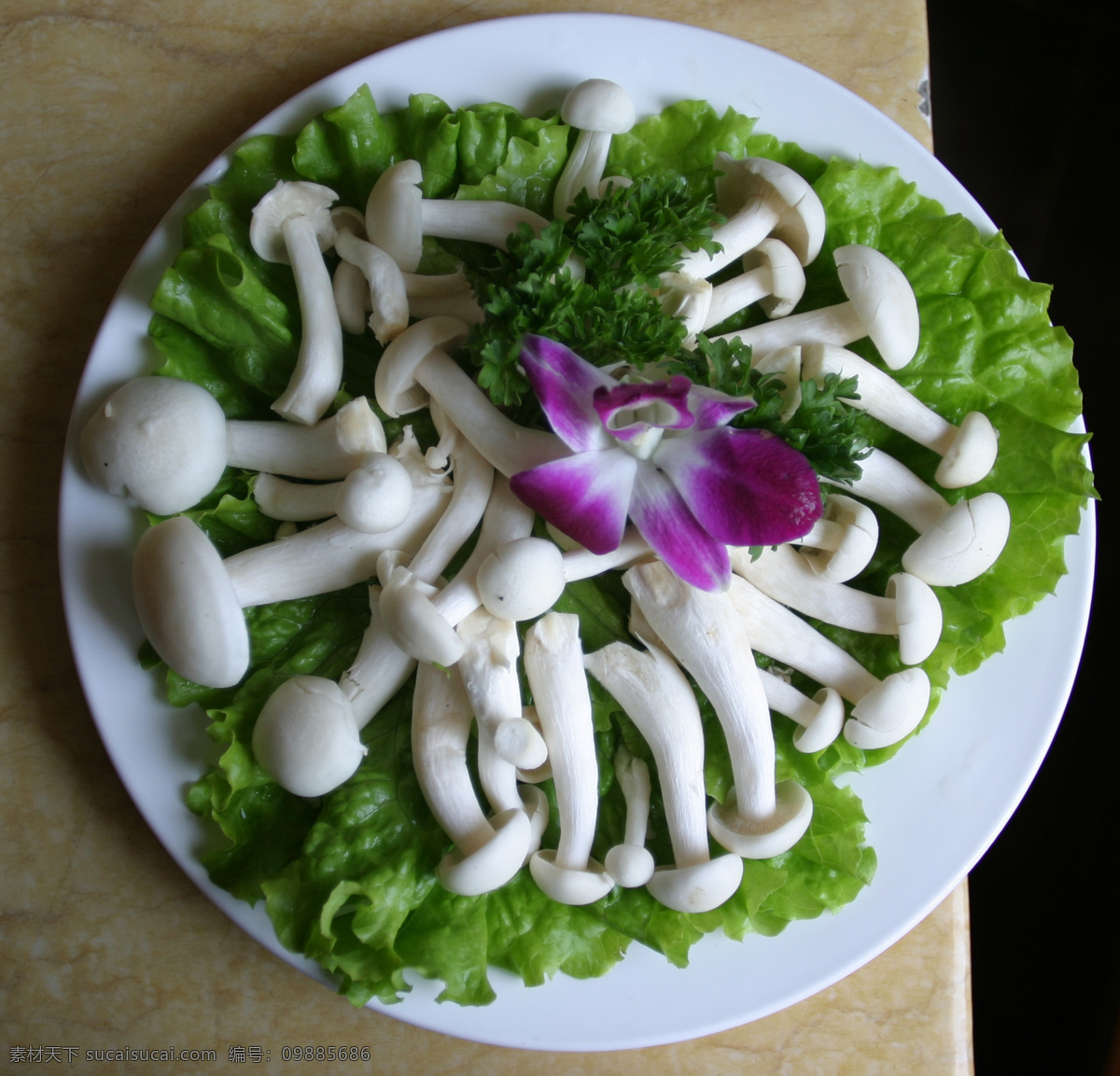 白菇 花朵 生菜 盘子 新鲜 原物 食物原料 餐饮美食