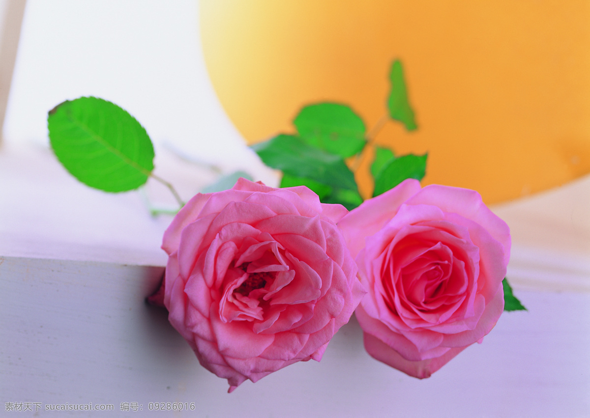 花艺 摆设 花 花卉 鲜花 花艺摆设