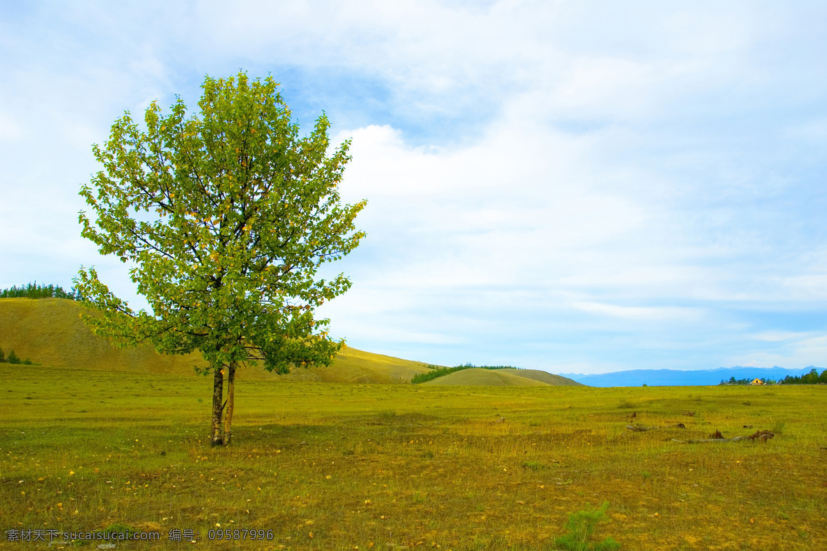 高原 上 树木 西伯利亚风景 高原风景 美丽风景 美景 景色 风景摄影 花草树木 生物世界