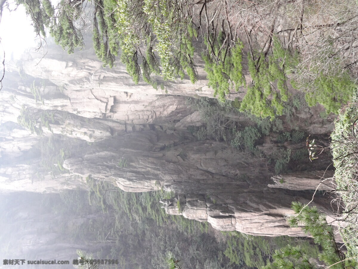 安徽黄山 黄山地质公园 山峰岩石 悬崖峭壁 安徽旅游 松树植物 山脉高山 黄山云雾 黄山美景 旅游摄影 自然风景