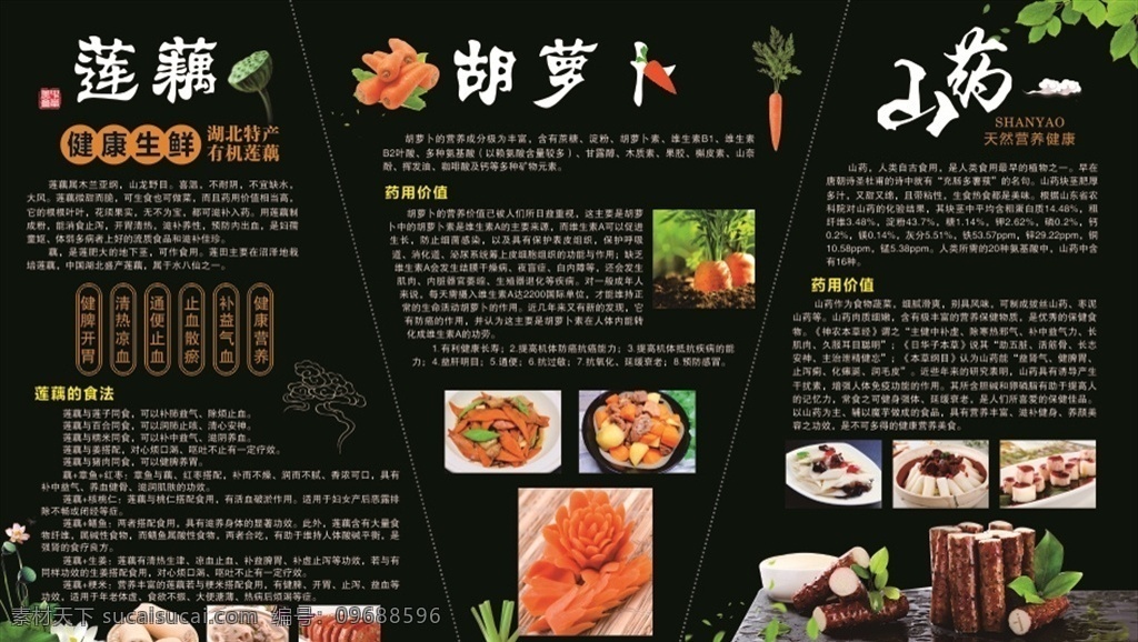 蔬菜介绍 莲藕 营养价值 食用方法 胡萝卜 药用价值 做法 山药 食堂海报 标签 简介 蔬菜 学校 海报
