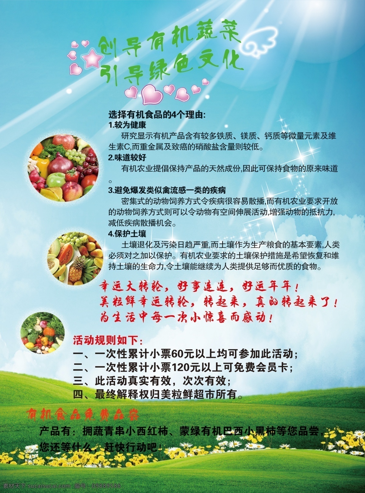 有机 蔬菜 宣传单 蓝天 白云 绿草地 阳光 星光 小翅膀 花 dm宣传单 广告设计模板 源文件
