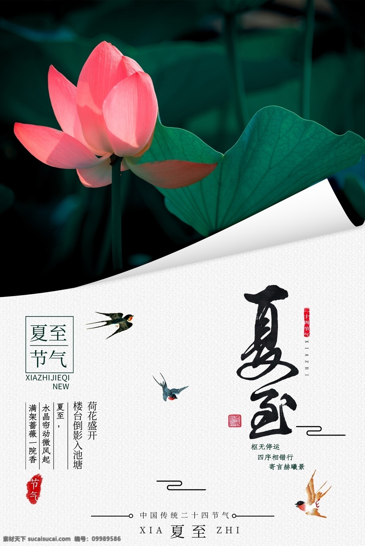 夏至节气 夏至海报 夏至广告 夏至高炮 夏堇 夏至装饰画 夏至面 夏至挂画 夏至画册 夏至灯箱 夏至杂志 夏至折页 夏至灯片 夏至单页 团购 夏至宣传单
