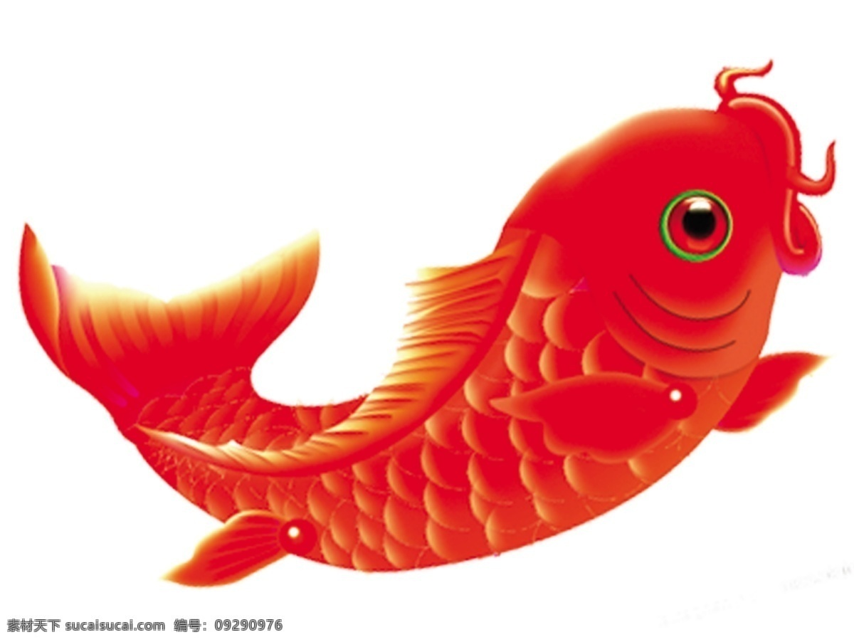 鲤鱼跳龙门 上叁图片 上叁 卡通鲤鱼 卡通红色鲤鱼 鲤鱼 红色鲤鱼 ps 鱼 卡通设计