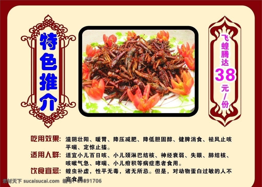 蝗虫海报 蝗虫 海报 背景 咖啡色 花边 矢量