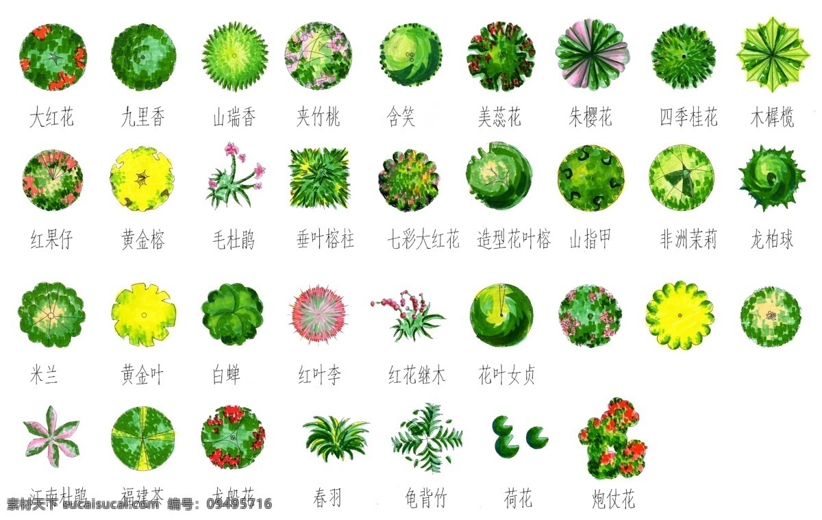 平面 植物 规划 建筑园林 园林设计 自然景观 总平面 景观布置 家居装饰素材 园林景观设计