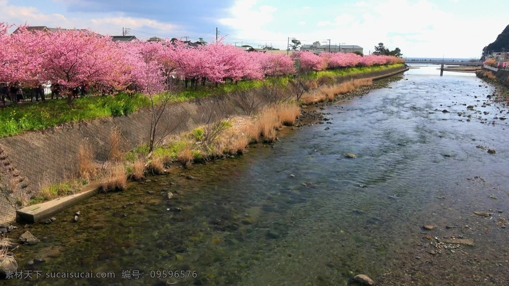 实拍视频 视频 视频素材 实拍 河流 河流视频 自然风光
