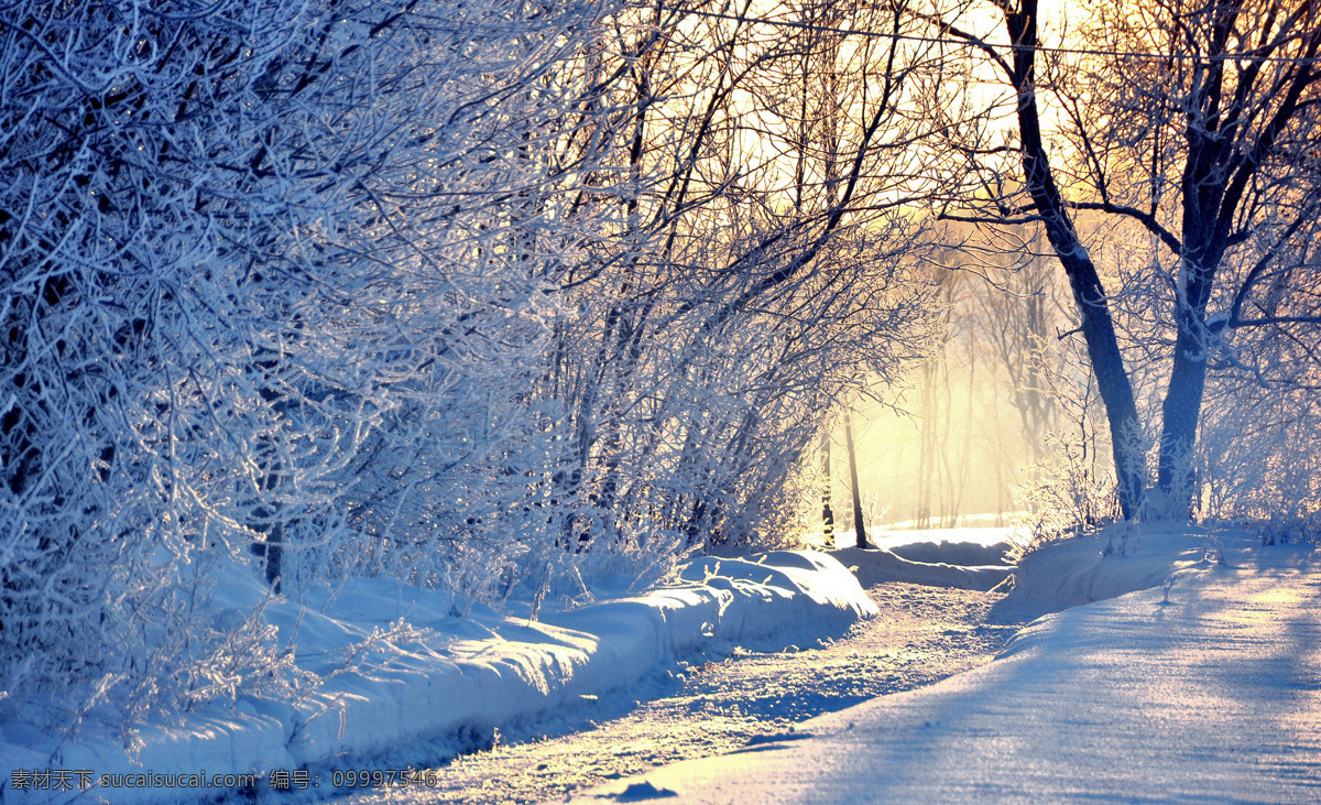 雪地 阳光 冬天 阴影 道路 树 高清 风光摄影 精美 壁纸 大图 冬季 雪 自然风景 自然景观