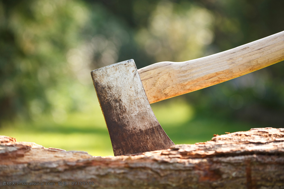 木块上的斧头 斧头 材禾 材块 木头 木材 树木 其他类别 生活百科 黄色