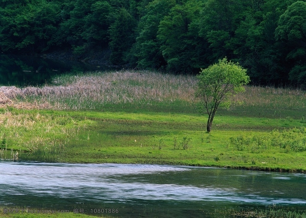 平原上的水流 平原 绿色 树木 山林 流水 风景 山水风景 自然景观