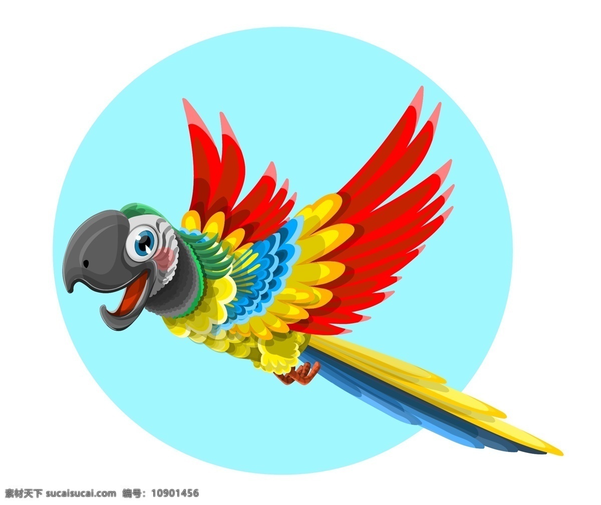 鹦鹉 动物 鸟 野生 阿拉 羽毛 热带 多彩 异国情调 翼 可爱 字符 丛林 鸟类 小鸟 生物世界
