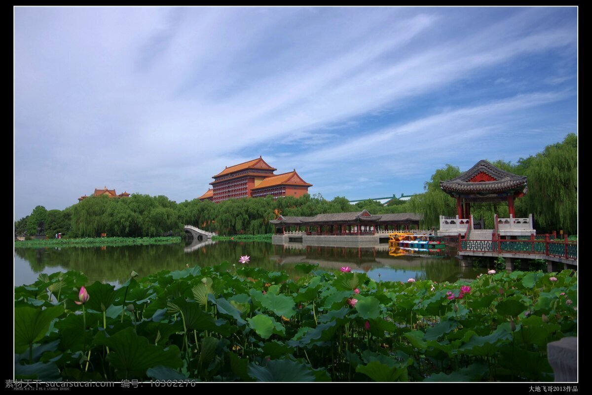 香河 天下 一城 第一城 荷花 廊坊 园林 国内旅游 旅游摄影