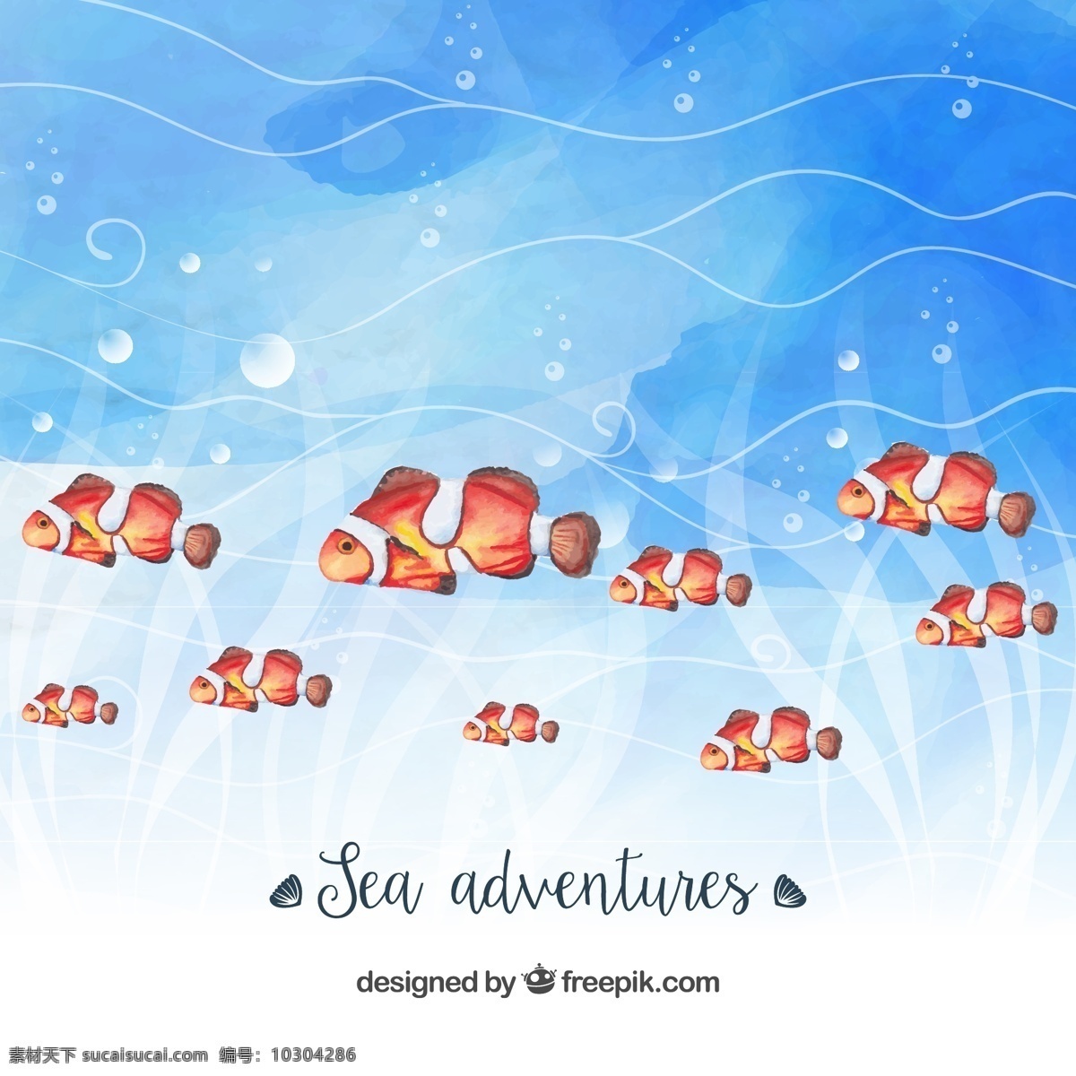 彩绘 海底 小丑 鱼群 矢量 小丑鱼 矢量素材 海水