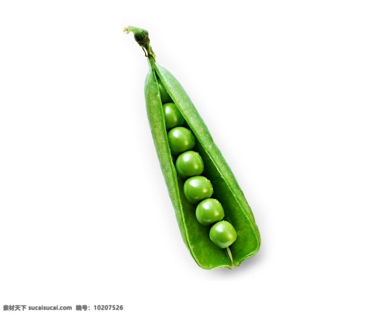 新鲜 翠绿 剥 开 荷兰豆 源文件 豆子 绿色 蔬菜 一粒 装饰图案