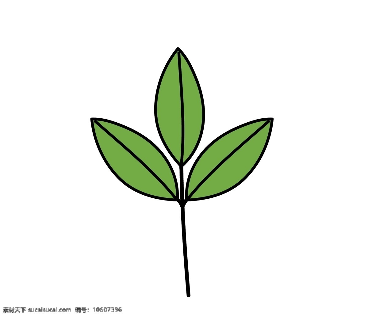 三个叶子 叶子 树叶 花叶 草 手绘 插画 矢量图 装饰元素 一支树叶 枝叶 竹叶 生物世界 树木树叶