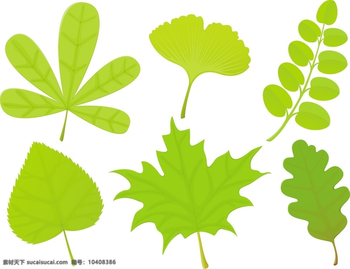 绿色 叶子 形态 环保 矢量素材 树叶 矢量图 其他矢量图