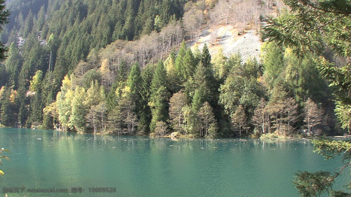 湖 瑞士 股票 录像 场景 风景 绿色 美丽 山 视频免费下载 树 水 其他视频