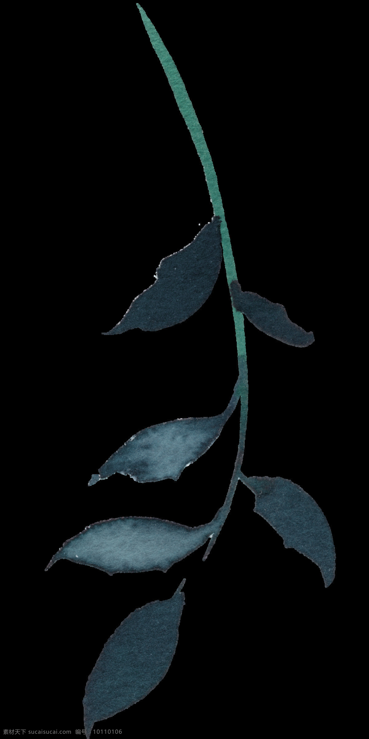 手绘 灰绿色 柳叶 透明 六片叶子 免扣素材 奇特 水彩 透明素材 渲染 叶子 装饰图案