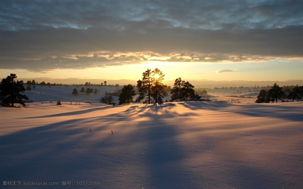 夕阳下的雪景 夕阳 雪景 树木 灰色