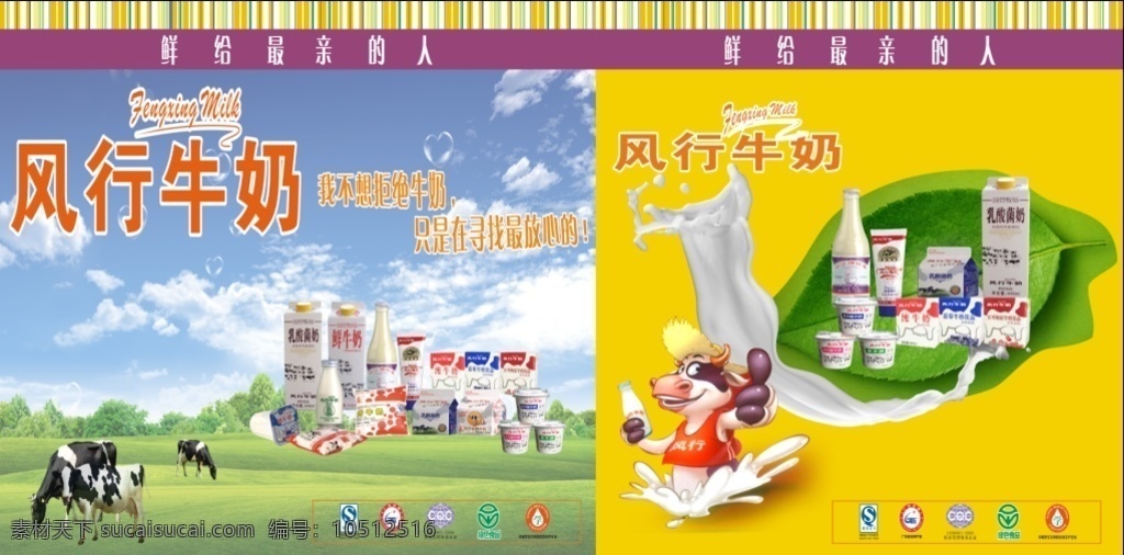 风行 牛奶 广告 背景 风行牛奶 风行牛奶广告 宣传 招牌