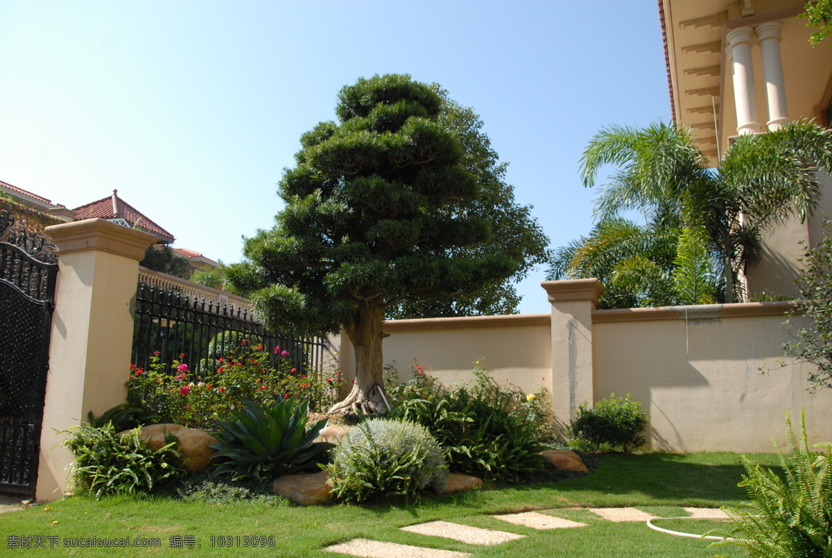 私家 庭院 罗汉松 松树 汀步 植物配置 丛植 灌木 黄蜡石 草地 园林建筑 建筑园林