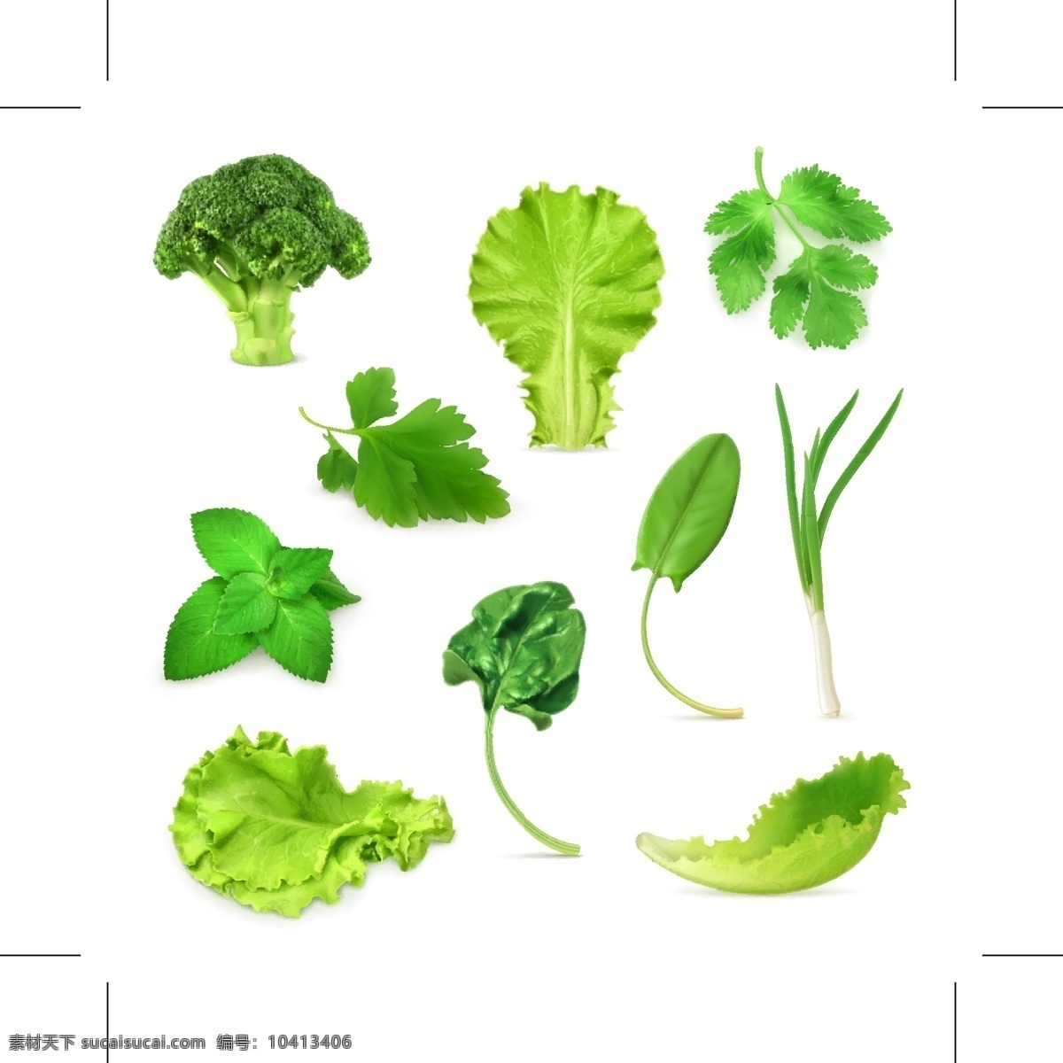 青菜图形标识 叶子 绿叶 香菜 菜花 青葱 绿色植物 食材
