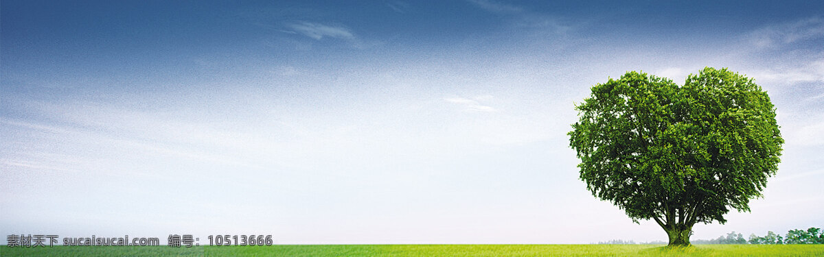 绿树蓝天 背景 banner 白色