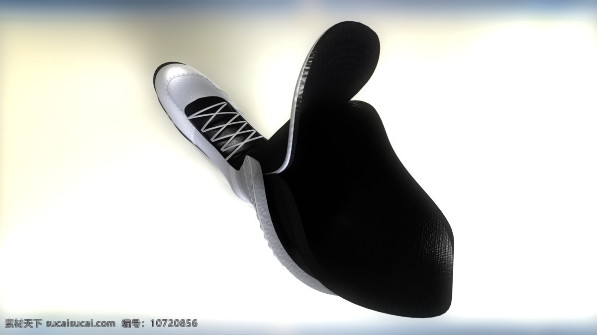 滑雪板 靴 运动 杂 3d模型素材 其他3d模型