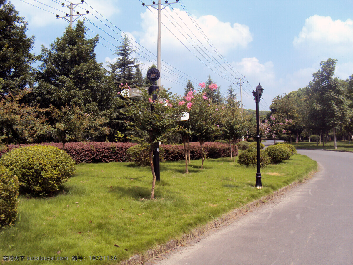 路边 风光 马路 路边风景 风景 生活 旅游餐饮