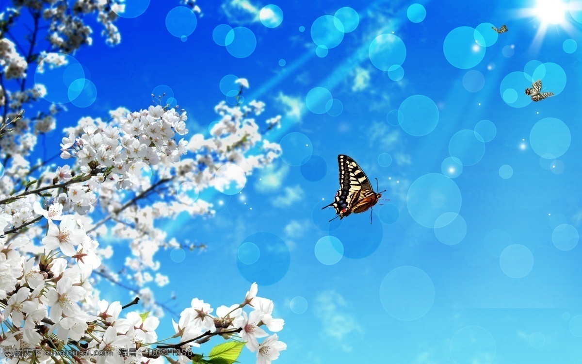 明朗 天空 下 桃花 白云 蝴蝶 气泡 蓝色