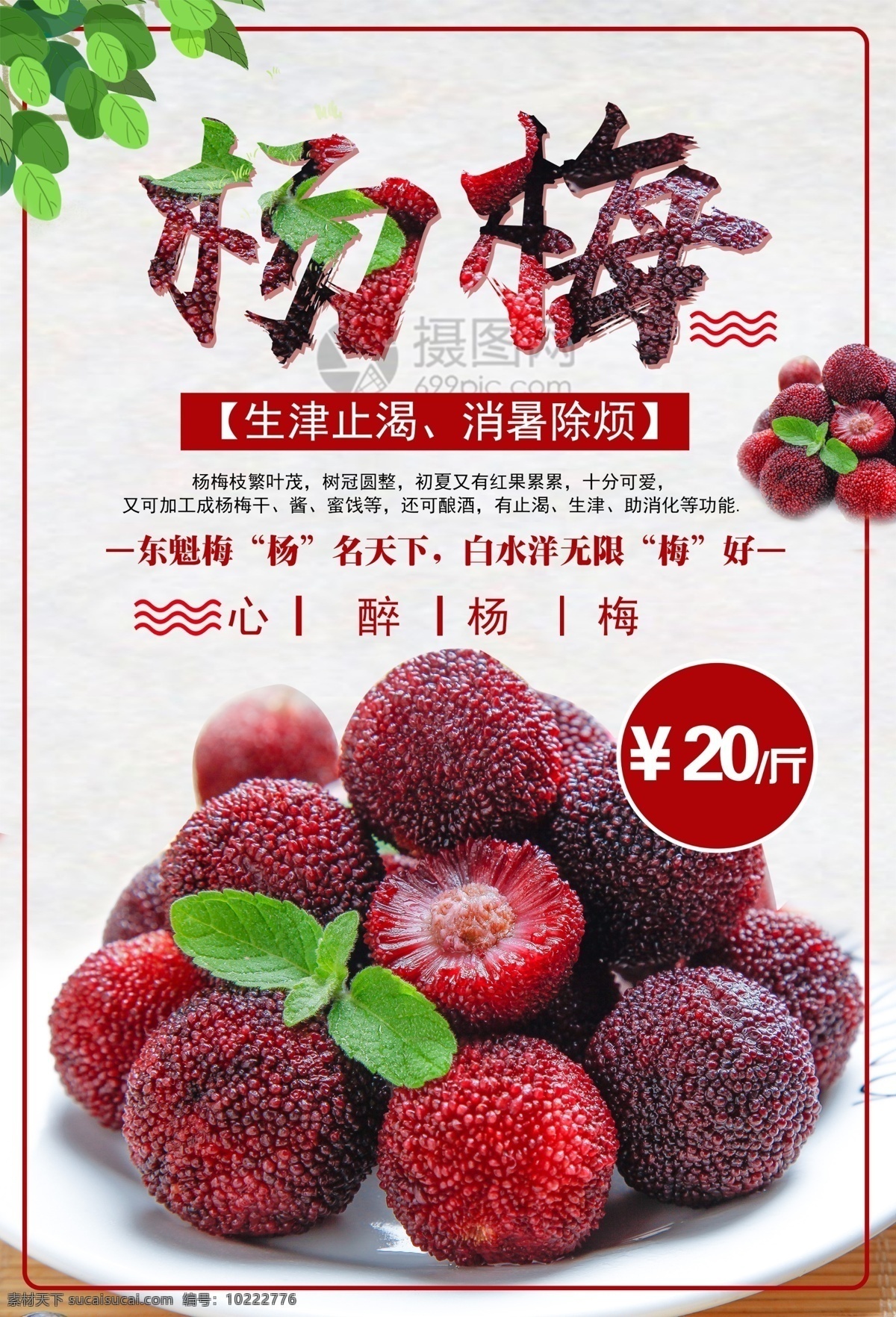 杨梅水果海报 杨梅 水果 美食海报 水果促销 海报