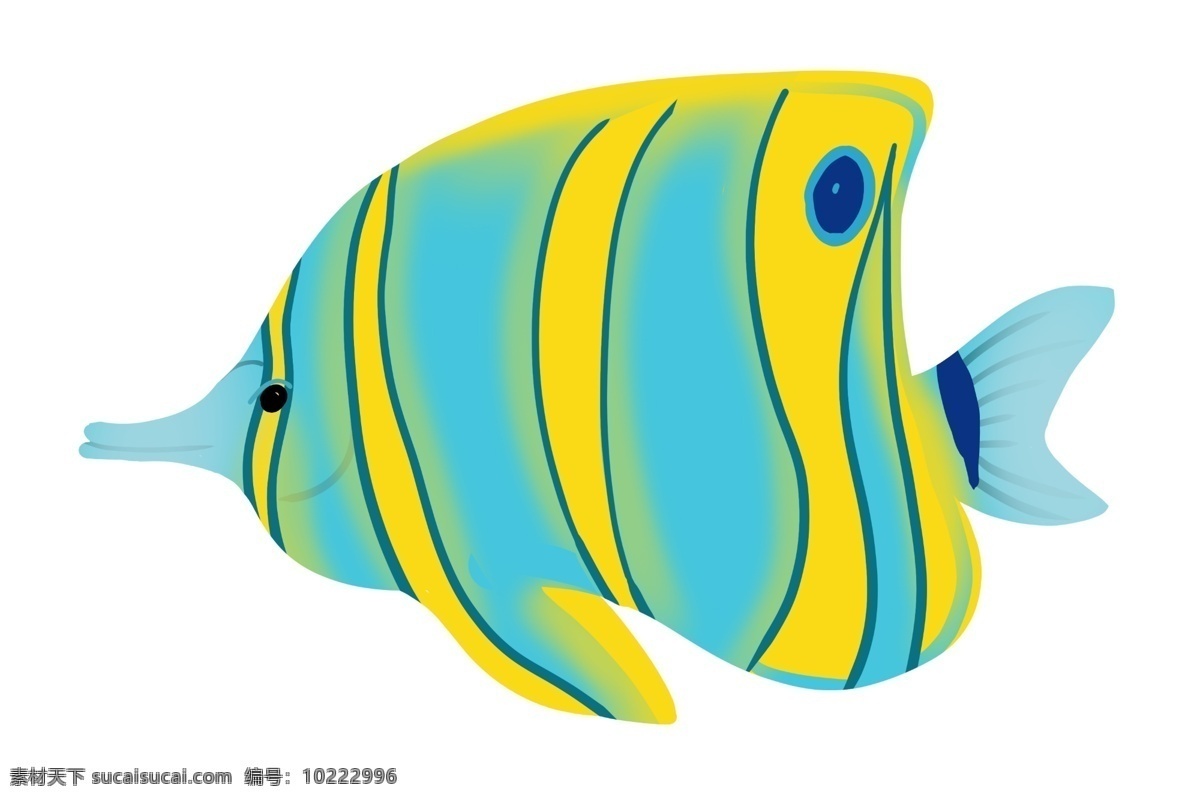 彩色鱼类动物 养殖 观赏 彩色