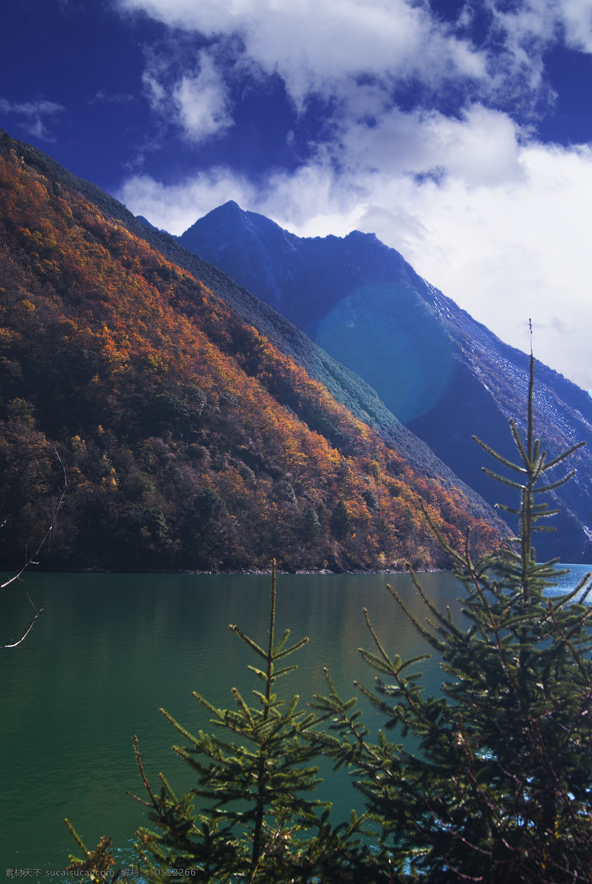 红叶 彩林 湖泊 高原湖泊 四川风景 高原风景 自然风景 旅游摄影