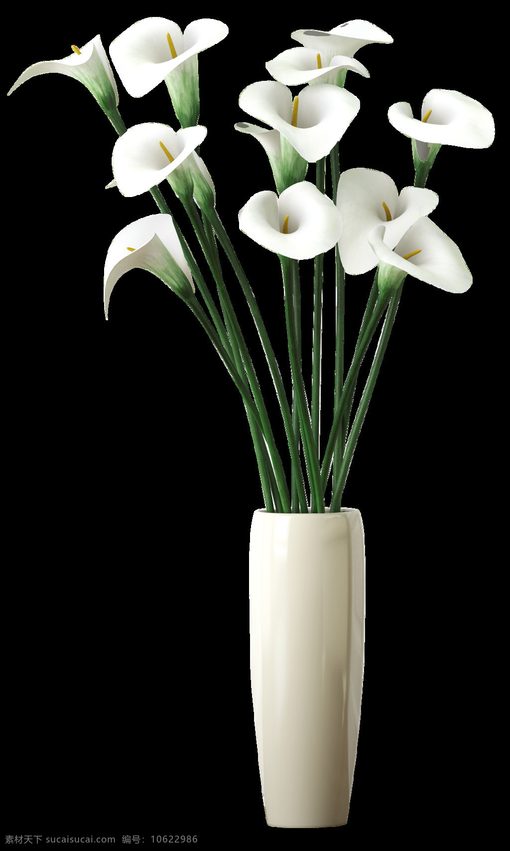 马蹄莲 装饰品 主题 元素 装饰 花瓶 美丽 花朵 白色 盛开 芬芳
