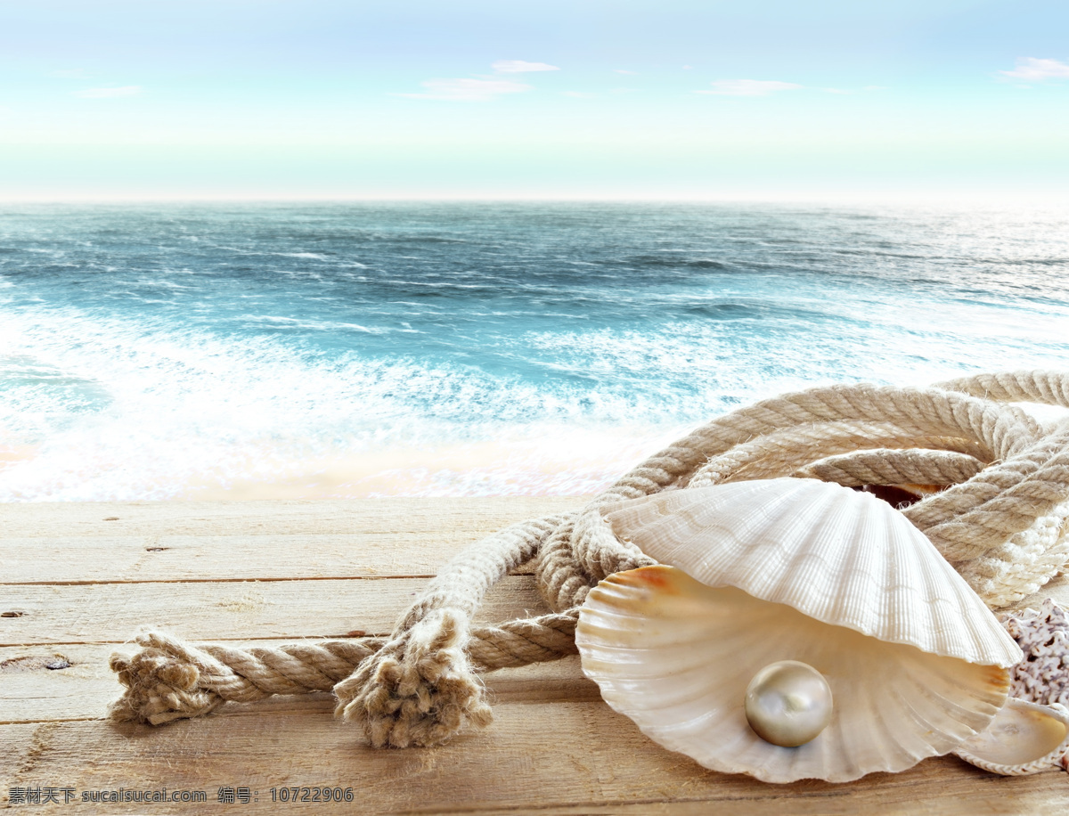 贝壳 里 珍珠 背景 大海 沙滩 海洋生物 沙滩上的珍珠 珍珠贝壳海螺 上 彩色贝壳背景 海边海螺 海边 白色