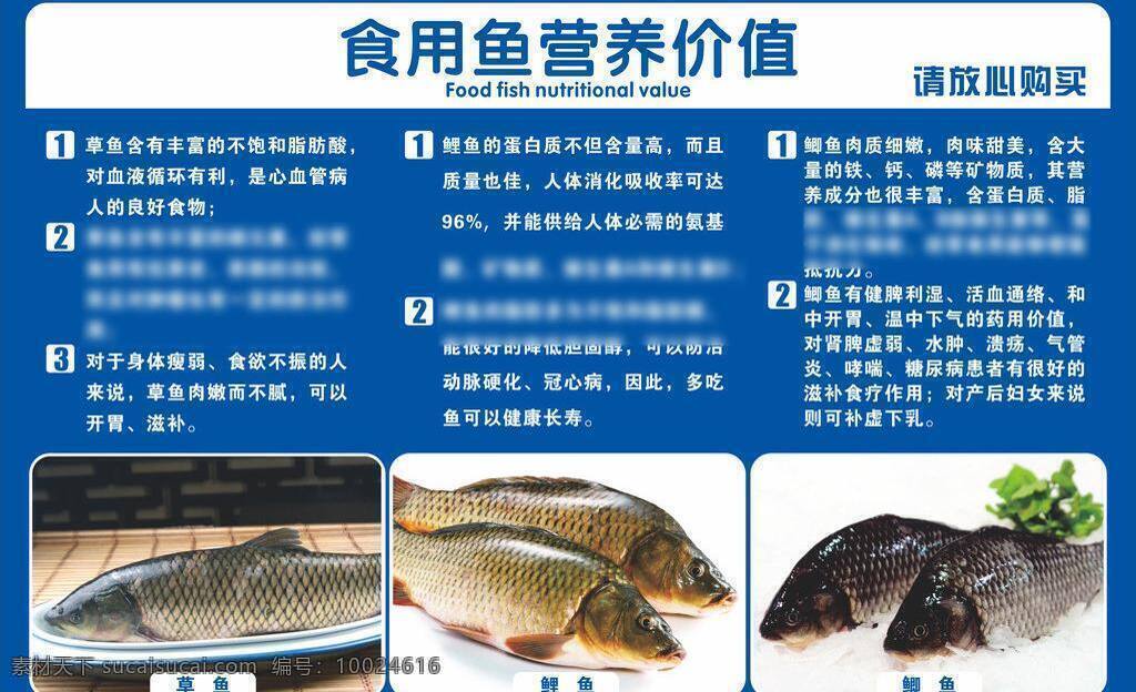食用 鱼 营养 价值 超市 吊板 吊牌 营养价值 鱼类 展板 矢量 店装 超市店装 展板模板 其他展板设计