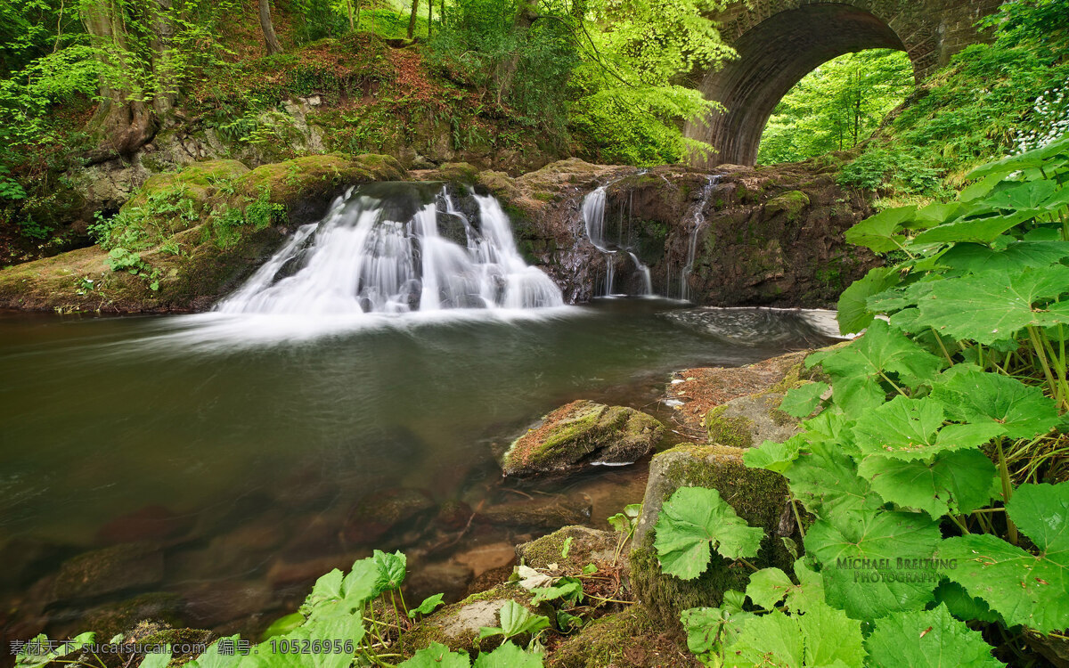 溪水风景画 溪水 风景 荷叶 水 壁画 风景专辑 自然景观 自然风景