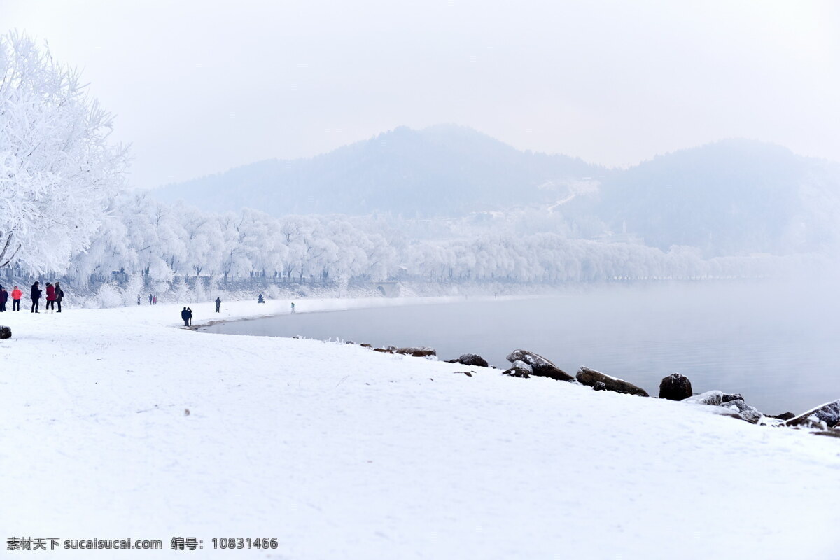 吉林雾凇 吉林 雾凇 树挂 冬天 凇韵 自然景观 山水风景