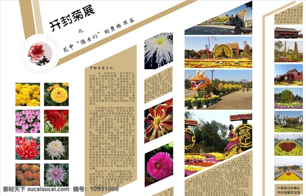 展板设计 活动 展板 花卉 美好 使用 文化艺术 节日庆祝