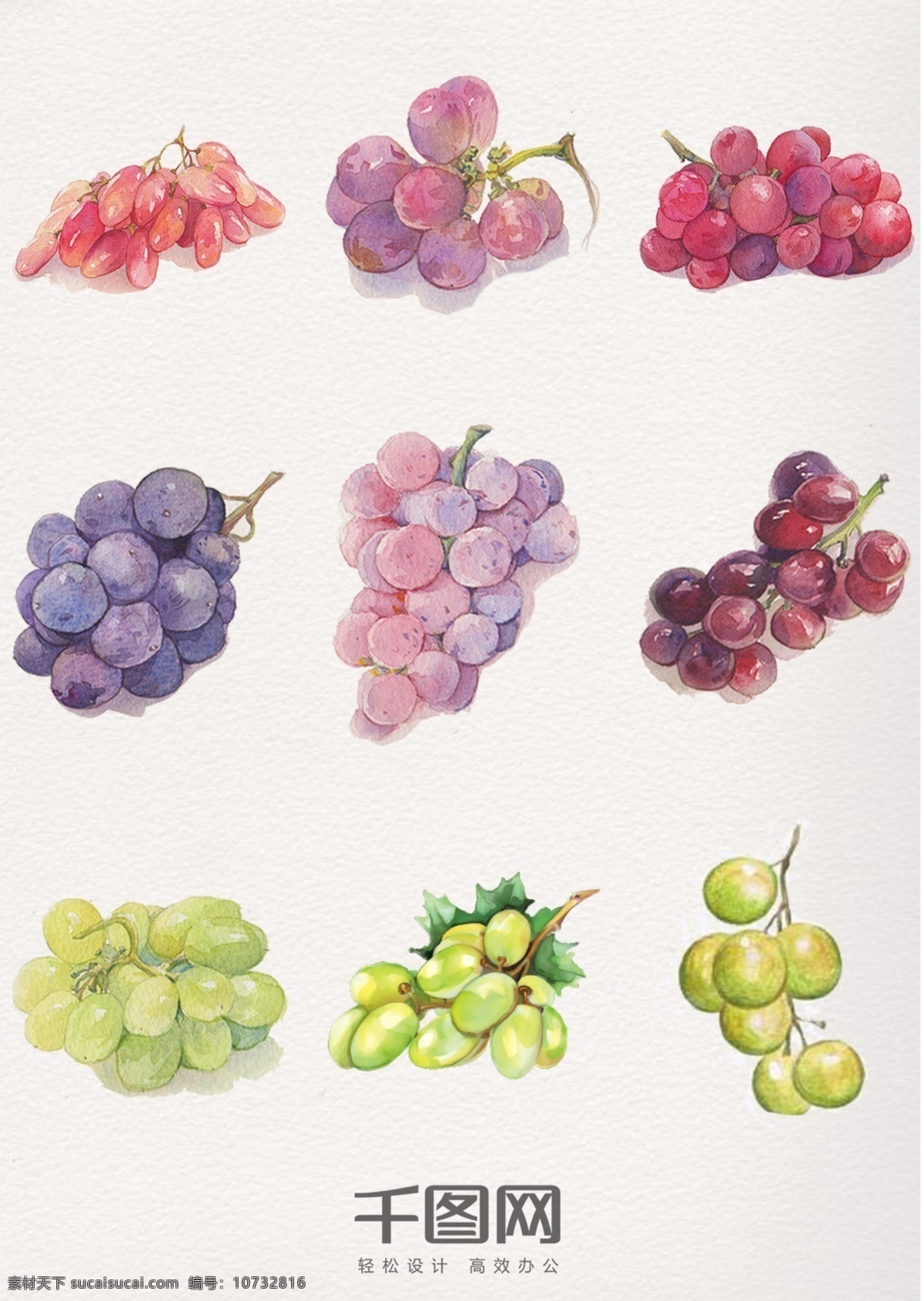 水彩 植物 水果 提子 水彩植物 清新 唯美 海报素材 手绘 插画 葡萄